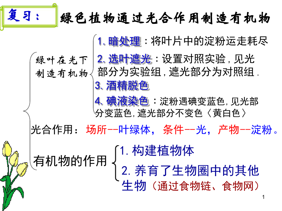 光合作用吸收二氧化碳释放氧气课件.ppt_第1页