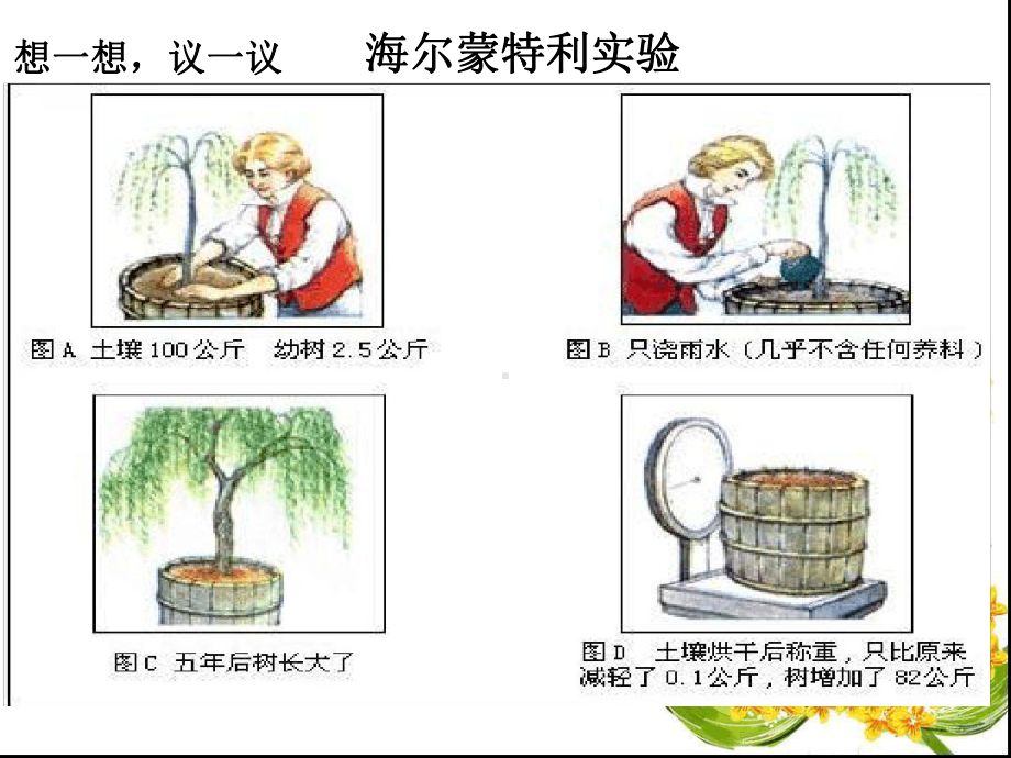 光合作用吸收二氧化碳释放氧气课件.ppt_第3页