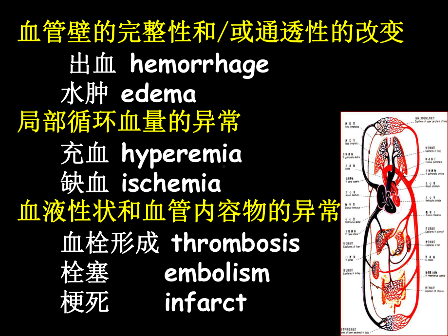 病理学局循障碍2013秋五年制3-2课件.ppt_第3页