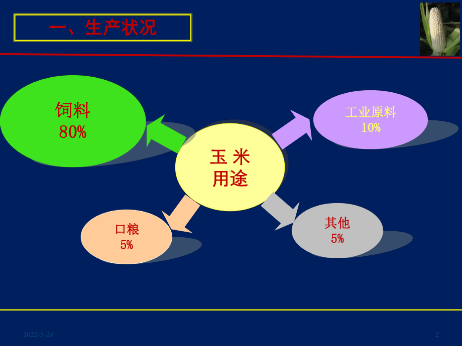 玉米高产栽培技术-ppt课件.ppt_第2页