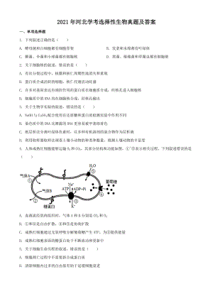 2021年河北学考选择性生物真题及答案.doc