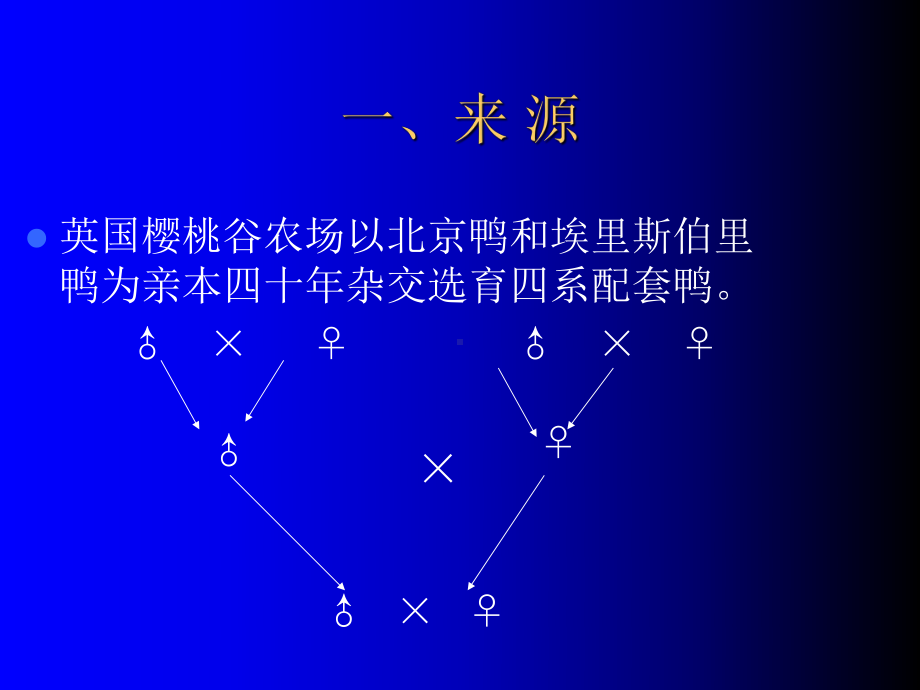 樱桃谷肉种鸭的饲养管理技术专题培训课件.ppt_第1页