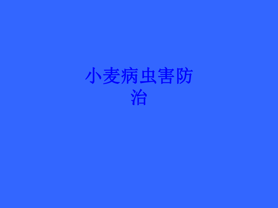 小麦病虫害防治PPT培训课件.ppt_第1页