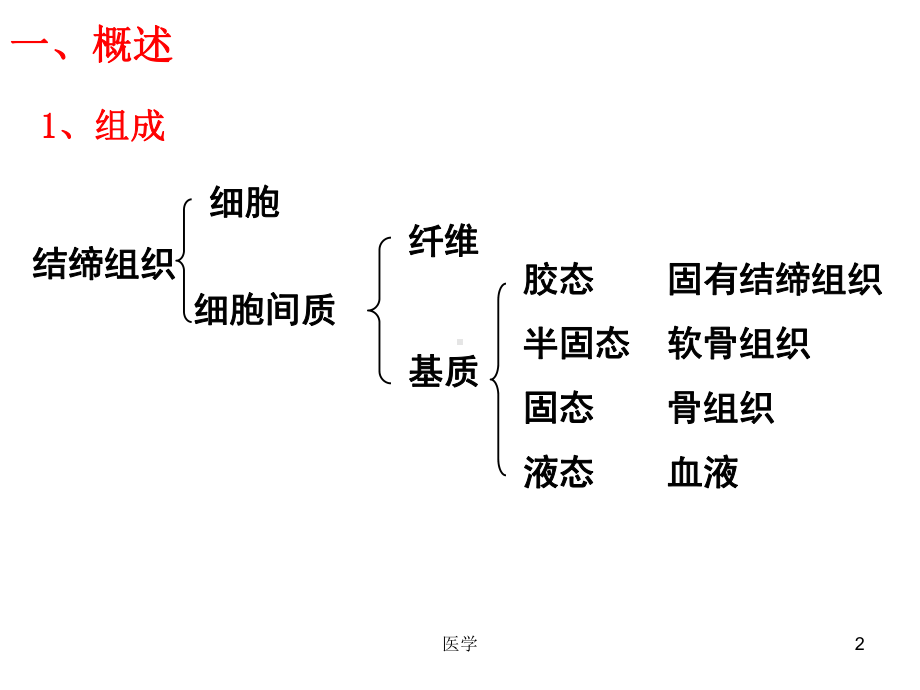 组织学与胚胎学结缔组织-PPT课件.ppt_第2页