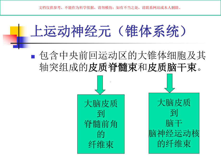 运动系统感觉系统课件.ppt_第2页