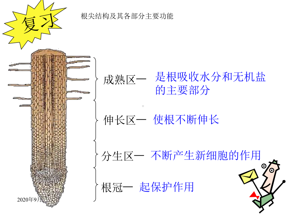 根对水分的吸收PPT课件.ppt_第2页