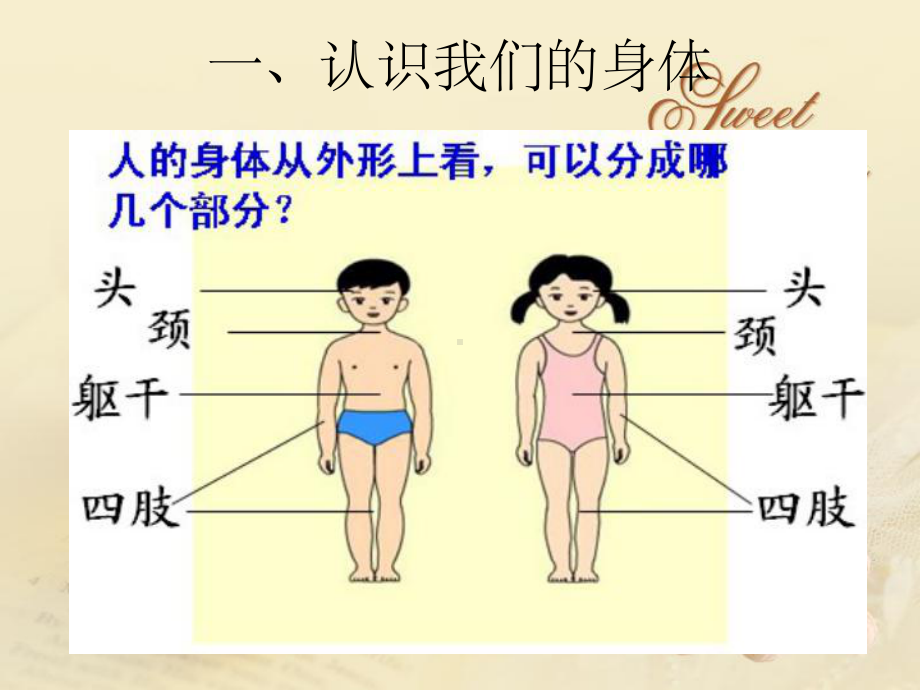 小学生生理卫生班会ppt课件.ppt_第2页