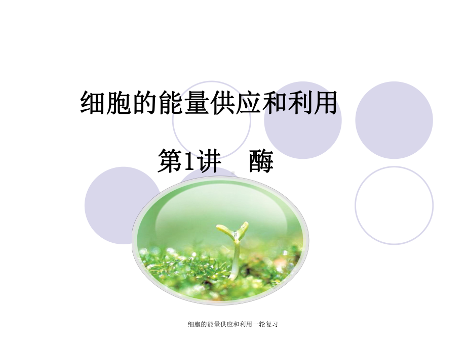 细胞的能量供应和利用一轮复习-ppt课件.ppt_第1页