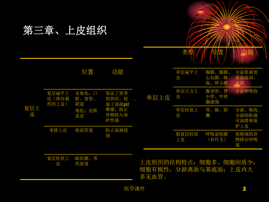 组织学与胚胎学(专)-PPT课件.ppt_第2页