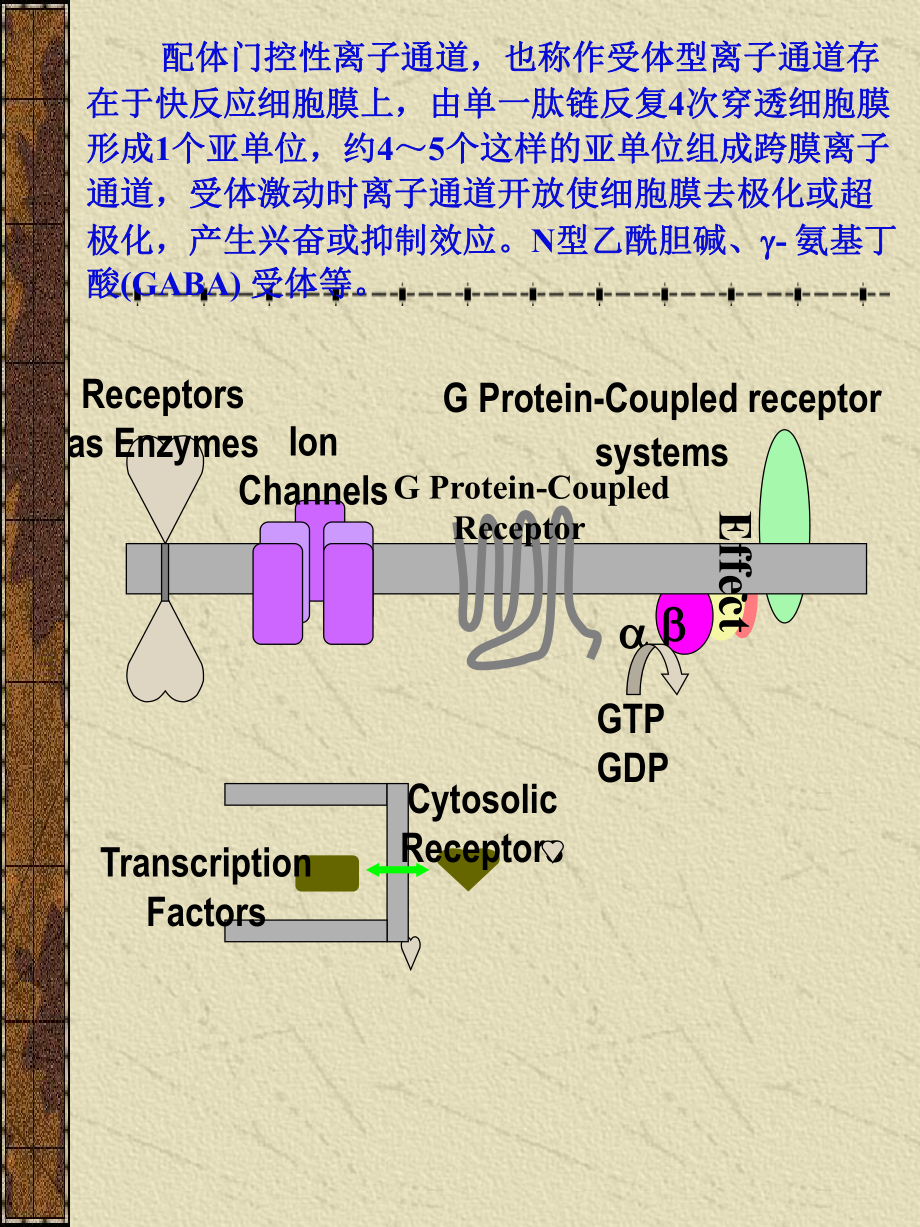 离子通道药理学-PPT课件.ppt_第3页