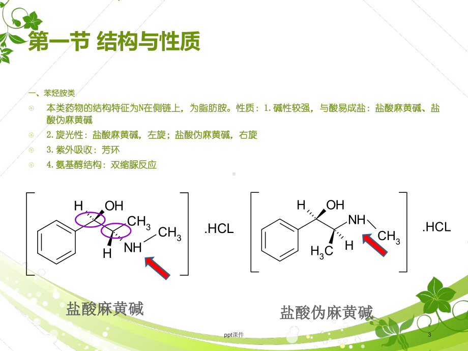 生物碱类药物分析-ppt课件.ppt_第3页