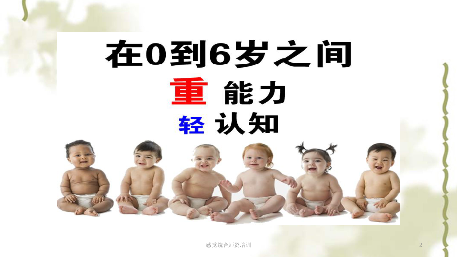 感觉统合师资培训课件.ppt_第2页