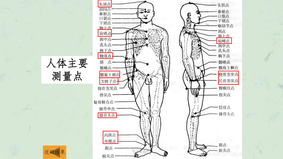 体育测量与评价实验课件.ppt_第3页