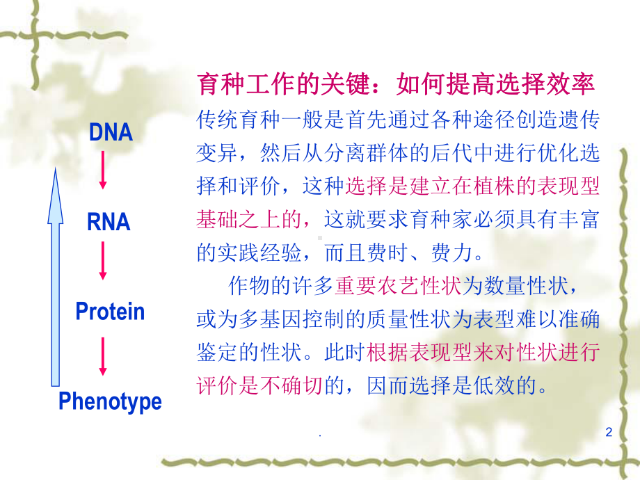 分子标记辅助育种PPT课件.ppt_第2页