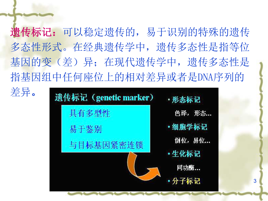 分子标记辅助育种PPT课件.ppt_第3页