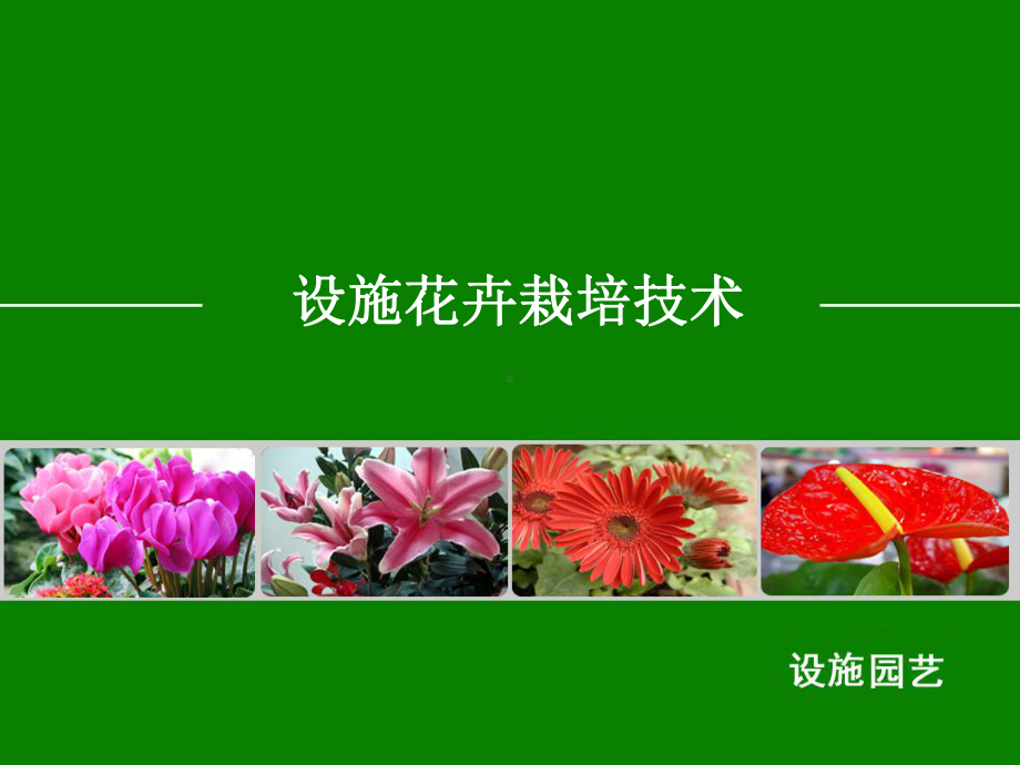 设施花卉栽培技术PPT课件.ppt_第2页