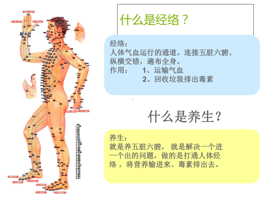 养生大讲堂经络养生PPT培训课件.ppt_第3页