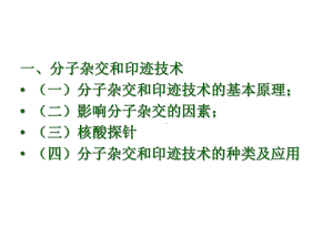 分子杂交与印迹技术ppt课件48页PPT.ppt