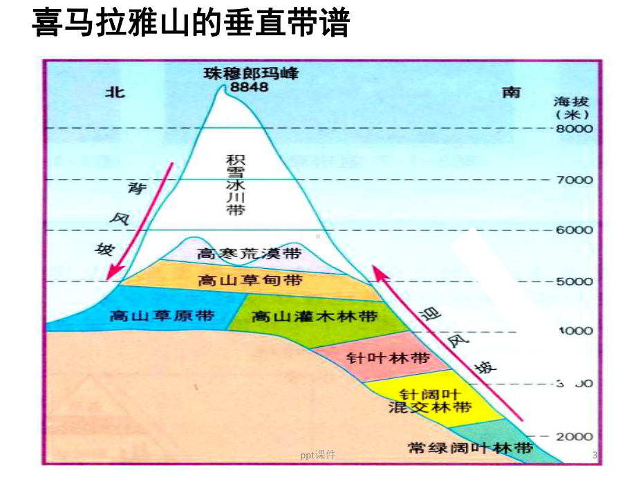 垂直地域分异规律-ppt课件.ppt_第3页