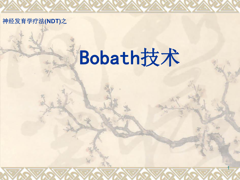 Bobath技术PPT演示课件.ppt_第1页