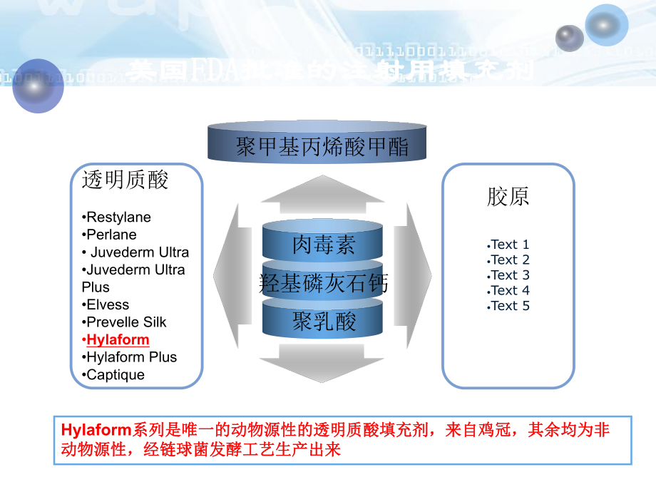 注射美容填充剂优质PPT课件.ppt_第3页