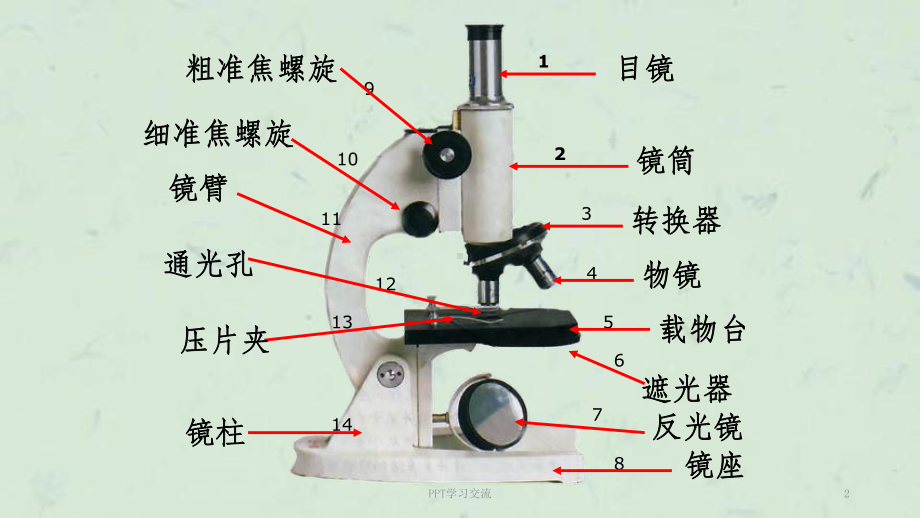 显微镜结构图及使用方法课件.ppt_第2页