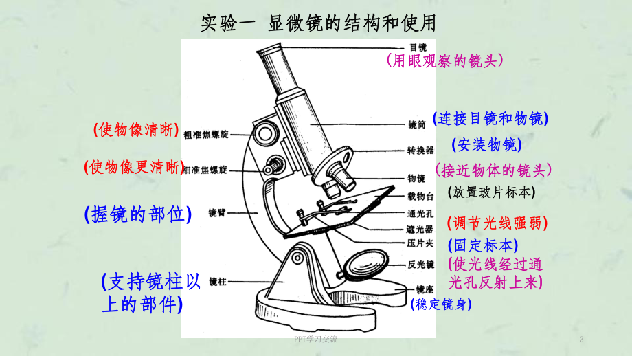 显微镜结构图及使用方法课件.ppt_第3页