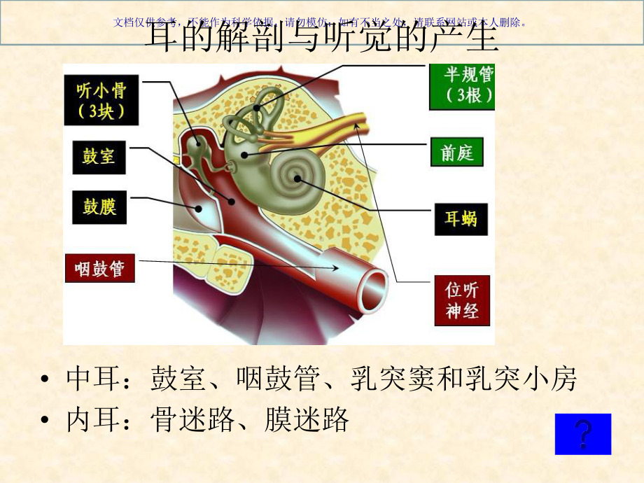 听觉传导通路课件.ppt_第3页