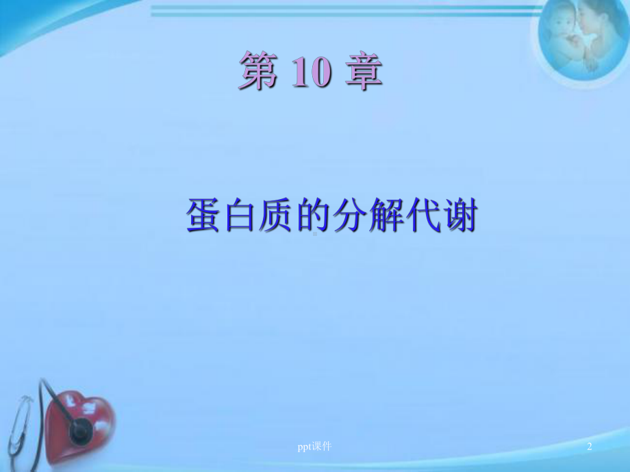 蛋白质的分解代谢-ppt课件.ppt_第2页