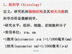 组织学与胚胎学复习重点-PPT课件.ppt