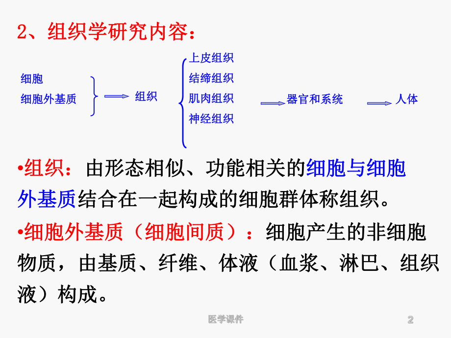 组织学与胚胎学复习重点-PPT课件.ppt_第2页