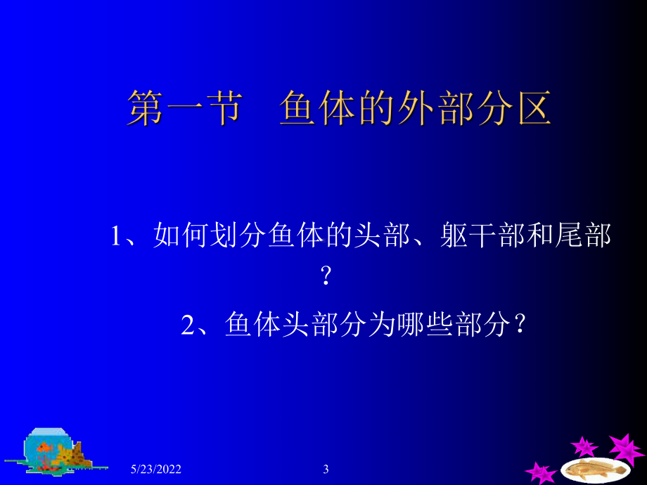 第一篇鱼类的形态构造ppt课件共54页文档.ppt_第3页