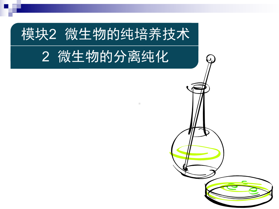 微生物的分离纯化-ppt课件.ppt_第1页