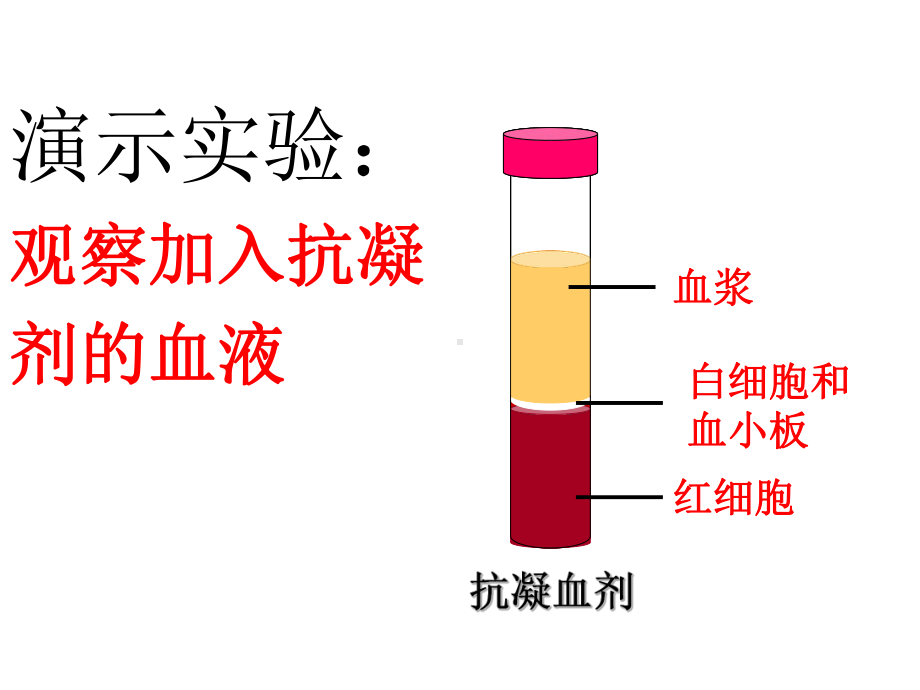 《物质运输的载体》-济南版-PPT课件.ppt_第2页