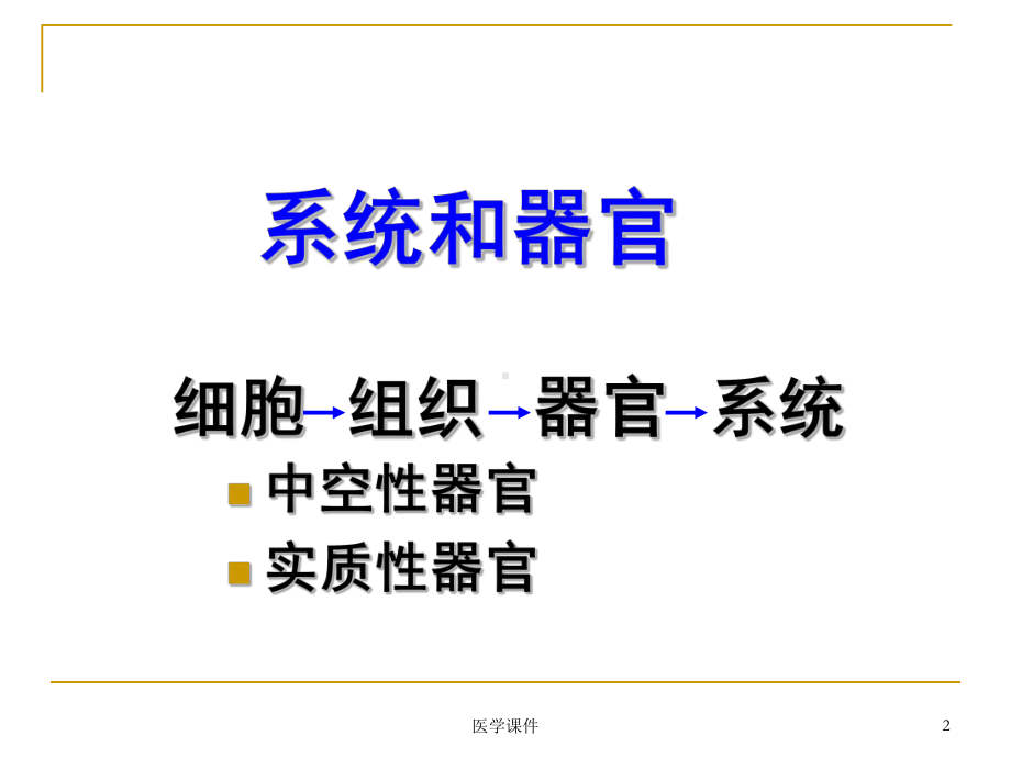 组织学与胚胎学-循环系统-PPT课件.ppt_第2页