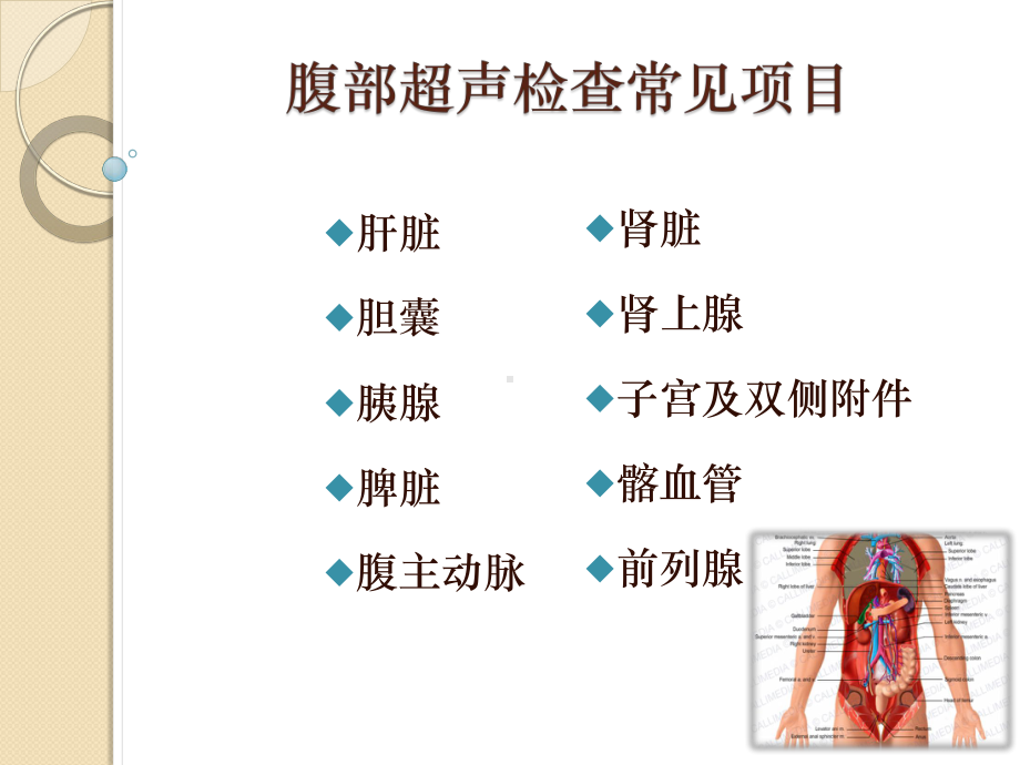 常用超声扫查方法及标准切面-PPT精品课件.pptx_第2页