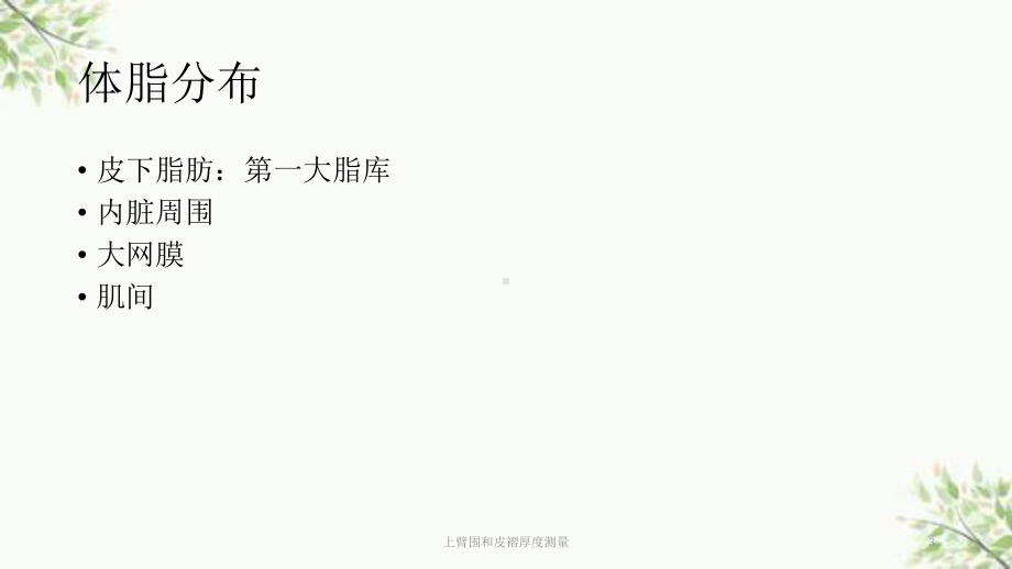 上臂围和皮褶厚度测量课件.ppt_第3页