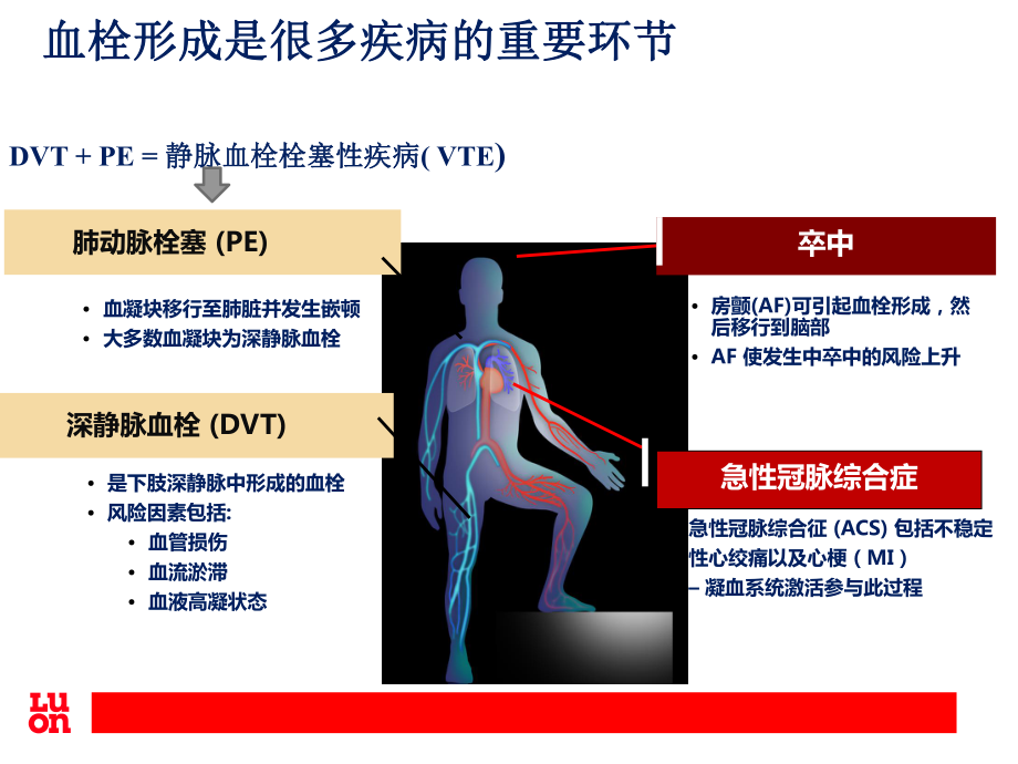 抗凝药物的使用及注意事项-ppt课件.ppt_第3页