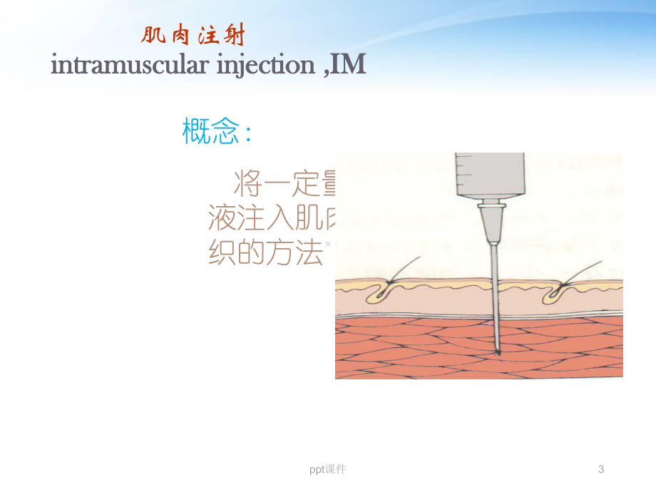 肌肉注射技术-ppt课件.ppt_第3页