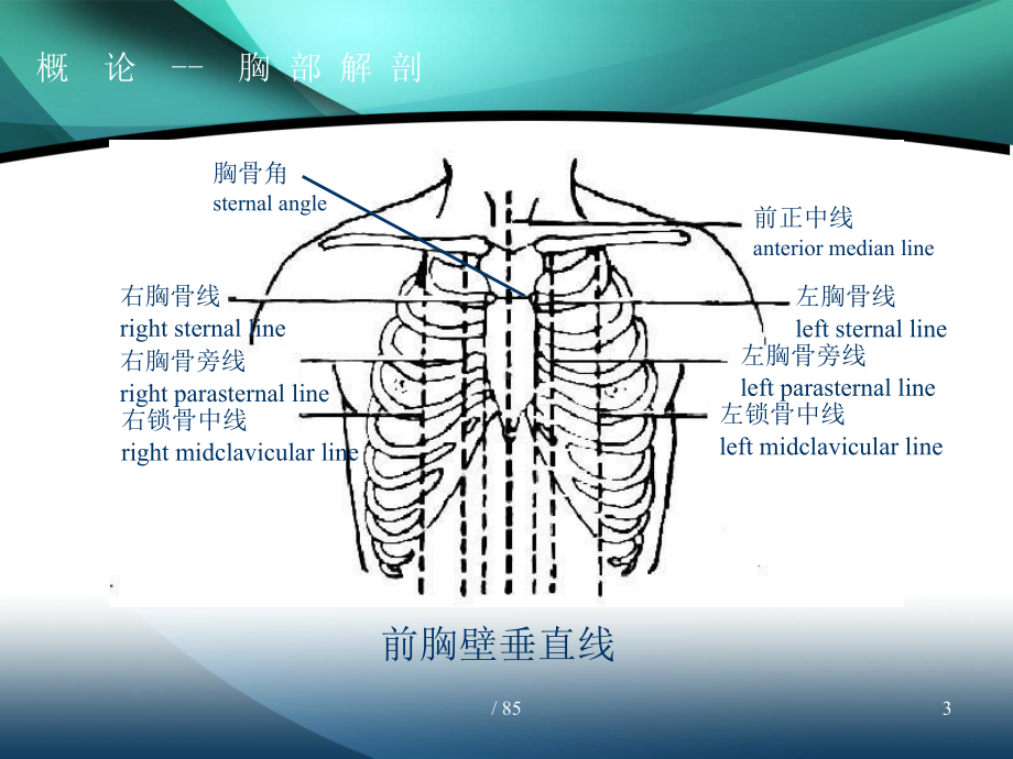 [精选]胸部外伤名师编辑PPT课件-资料.ppt_第3页