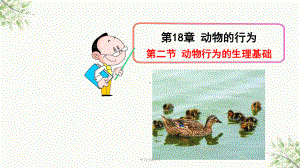 动物行为的生理基础(苏教版)课件.ppt