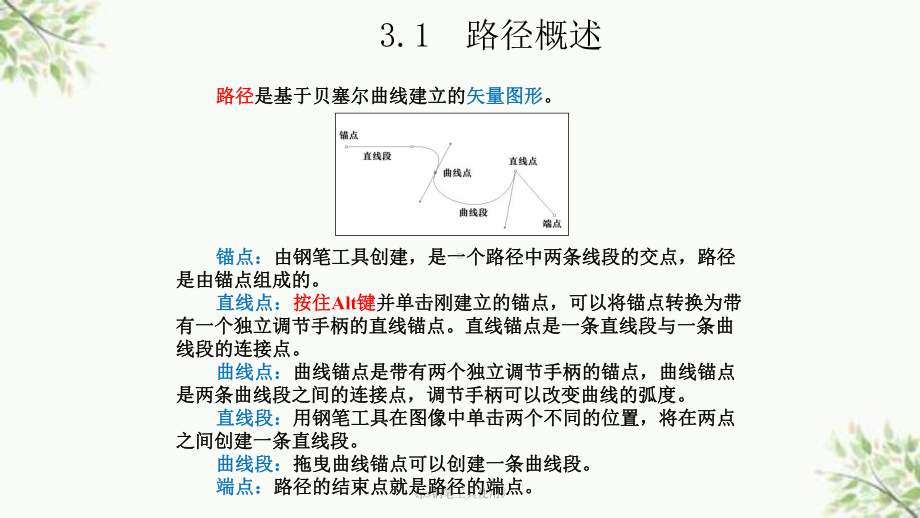 《ps钢笔工具使用》课件.ppt_第3页