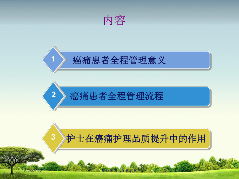 癌痛患者的全程管理培训课件.ppt_第3页