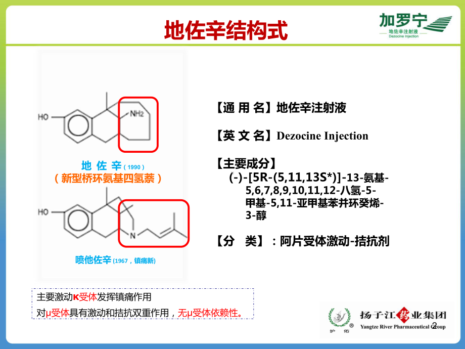 地佐辛注射液使用指南ppt课件.ppt_第2页