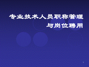 专业技术人员职称管理与岗位聘用课件.ppt