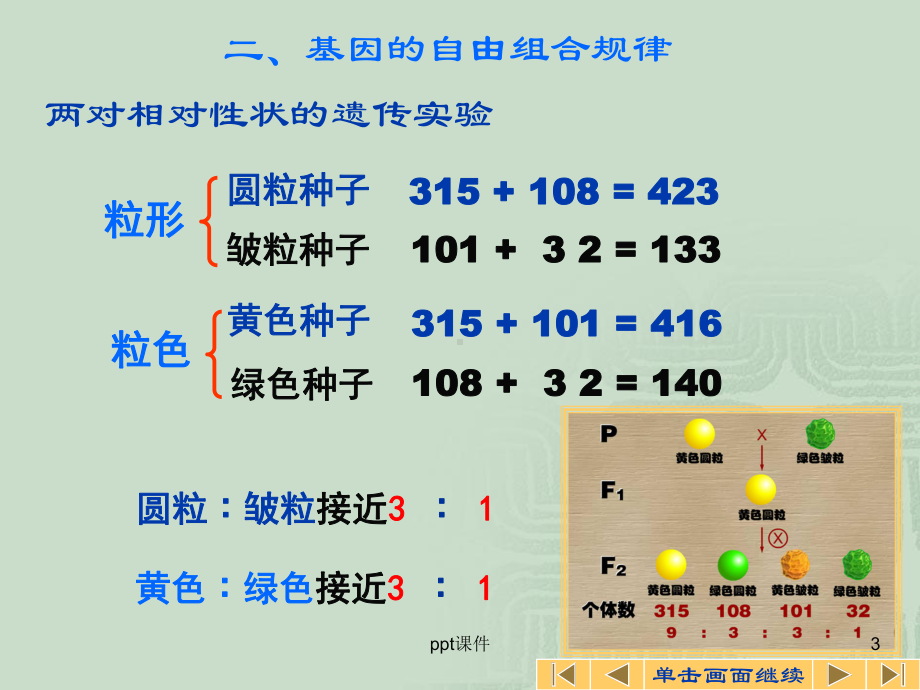 基因的自由组合定律-ppt课件.ppt_第3页