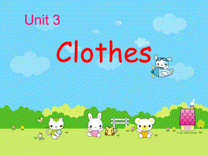 clothes教学课件.ppt