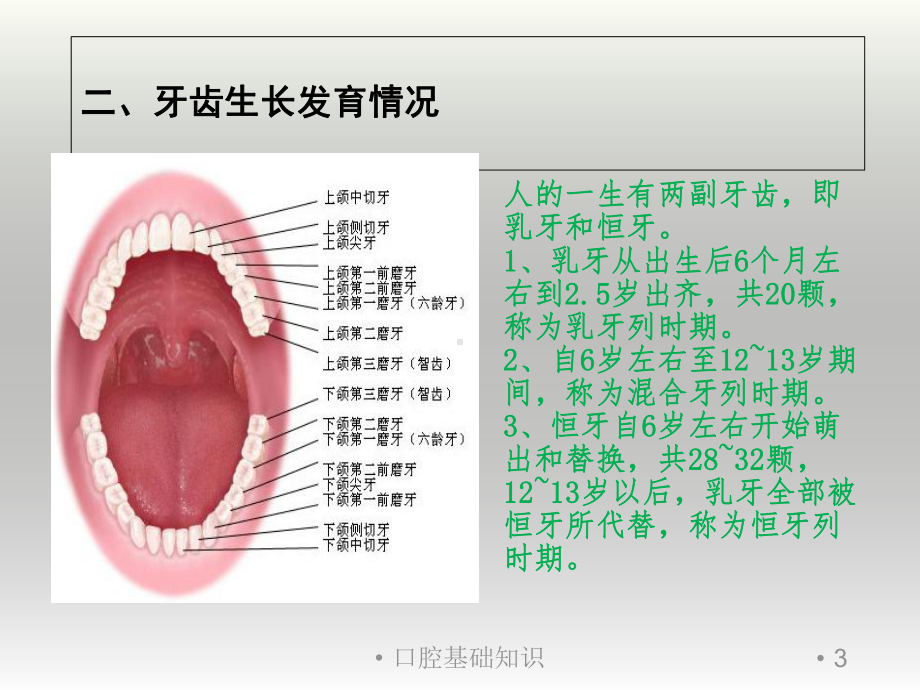 口腔基础知识培训课件.ppt_第3页