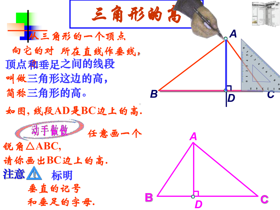 11.1.2三角形的高、中线与角平分线课件ppt.ppt_第3页