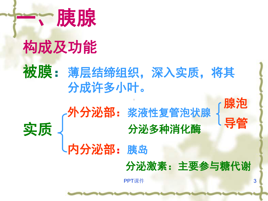 消化腺(组织胚胎学)-ppt课件.ppt_第3页